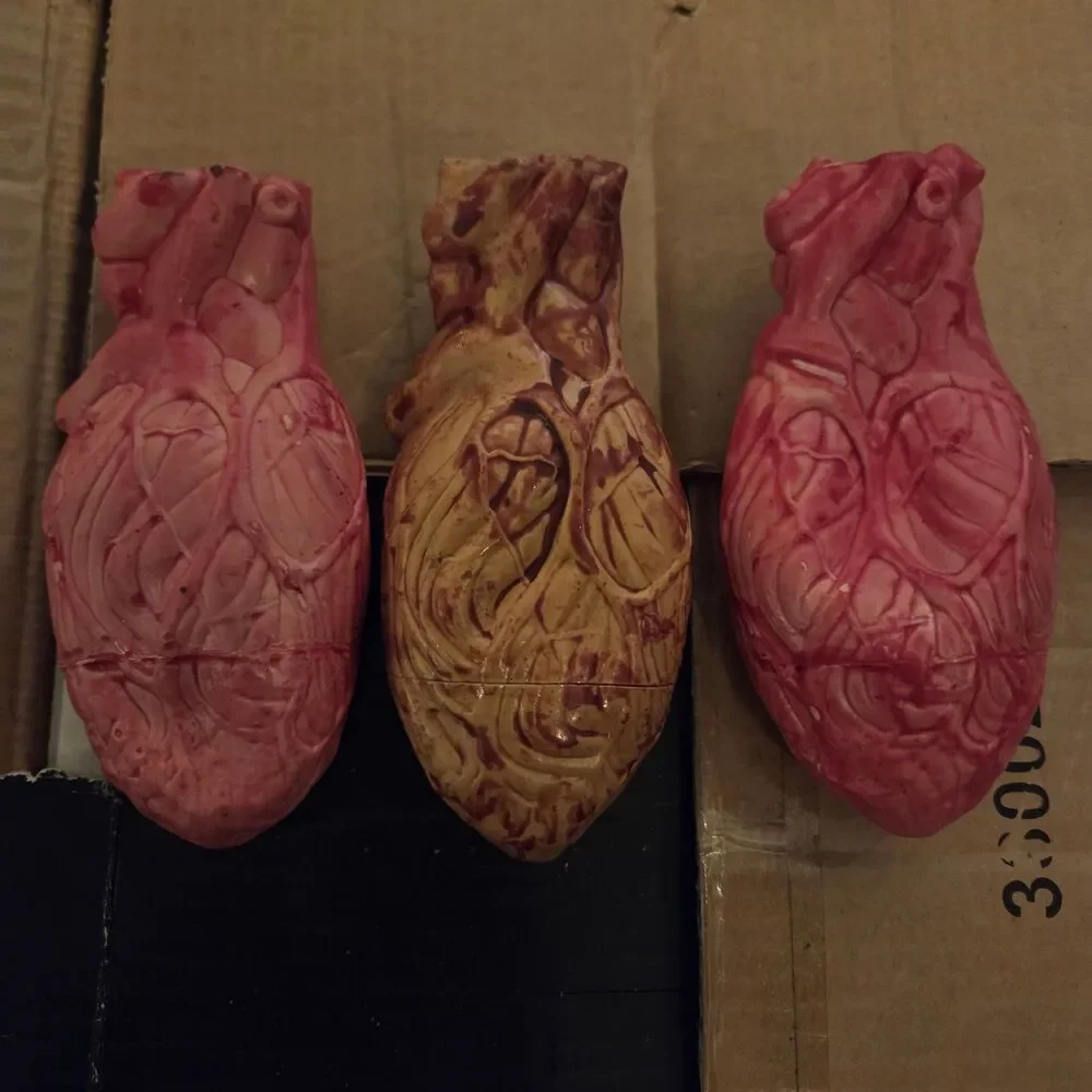 Lot of 3 Anatomical Human Heart Models 6.5” Medical Halloween Decor Props